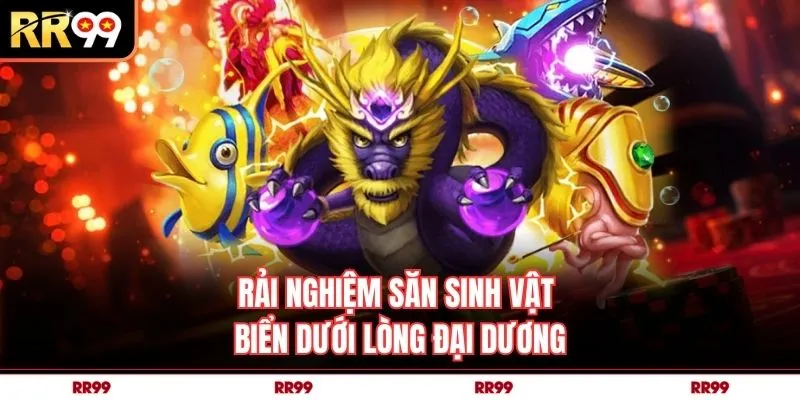 trải nghiệm săn sinh vật biển dưới lòng đại dương